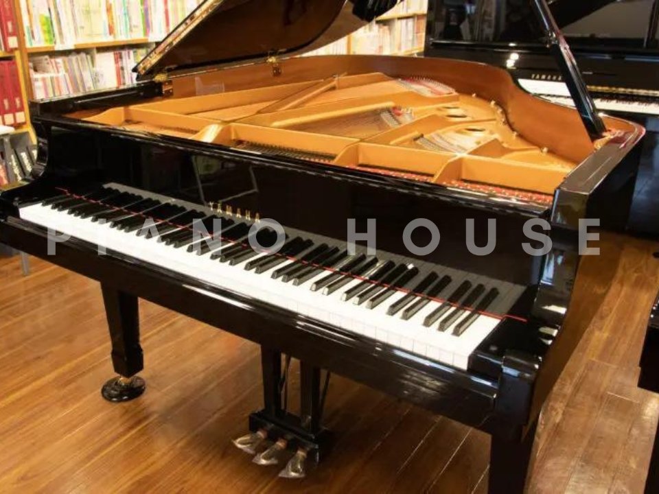 Hình ảnh chi tiết YAMAHA C2L góc chụp 2